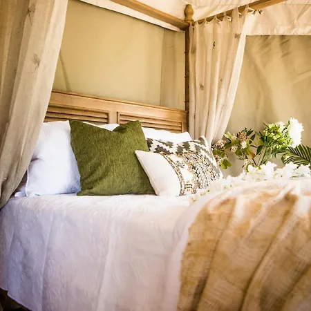 Orchard Valley Glamping Otorohanga Exterior photo