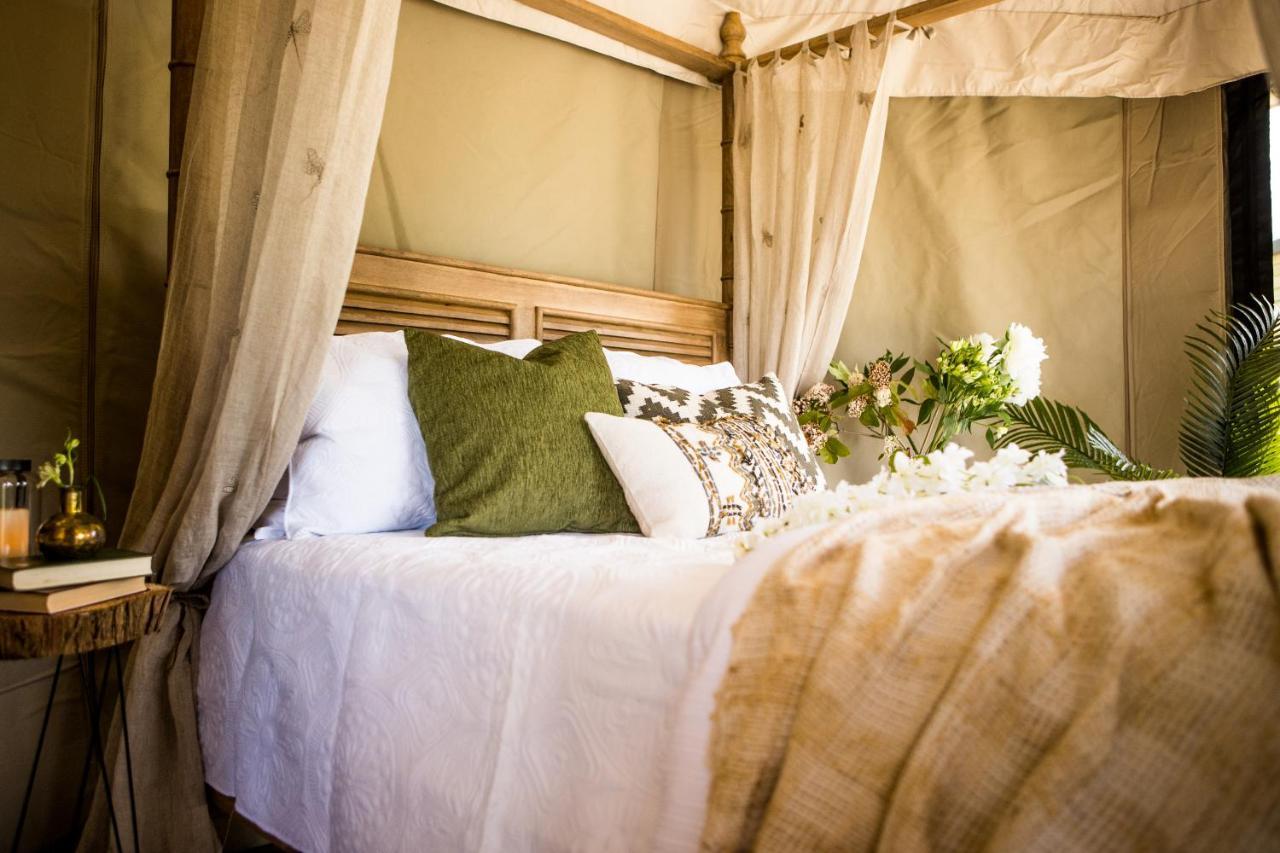 Orchard Valley Glamping
