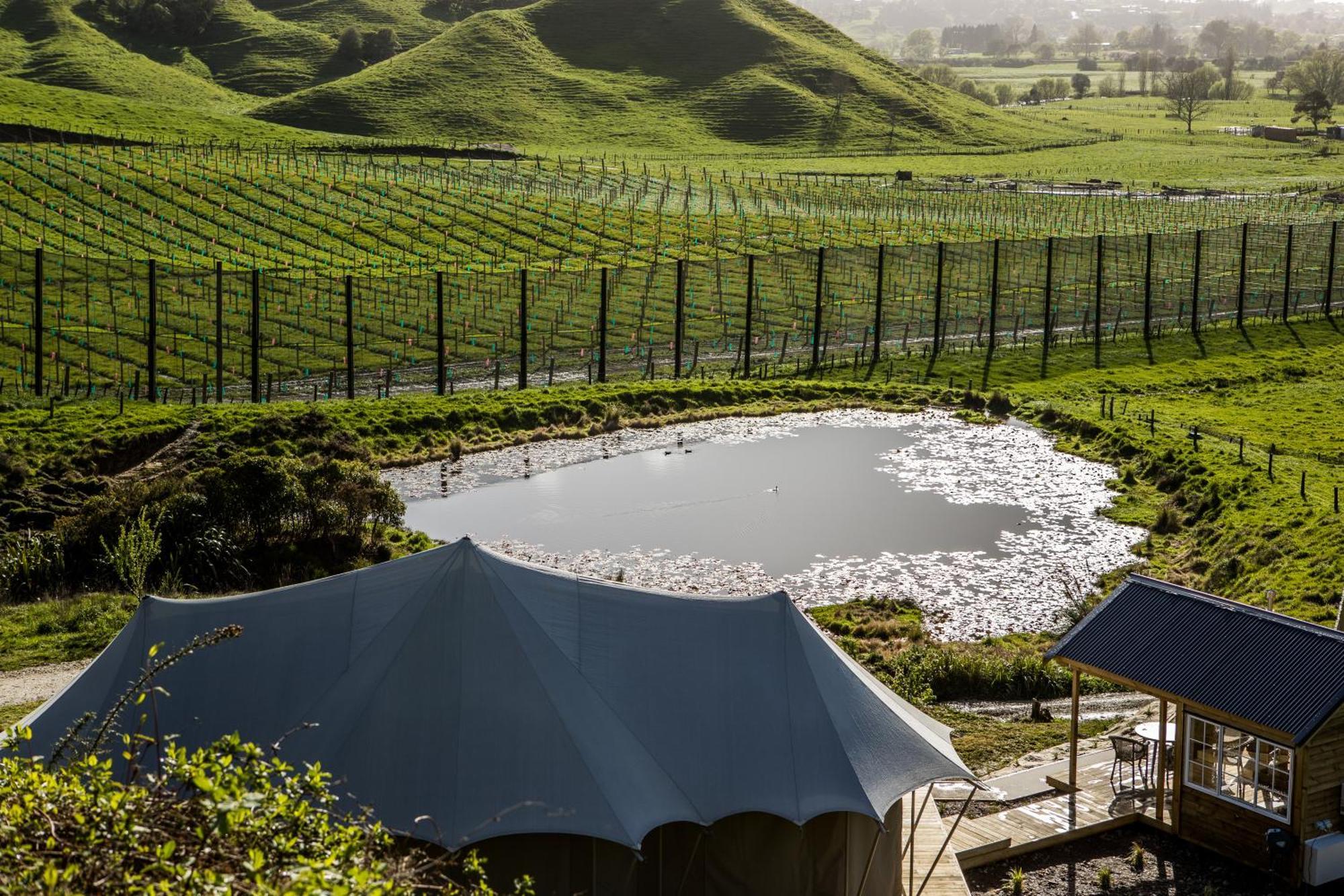 Orchard Valley Glamping * Otorohanga
